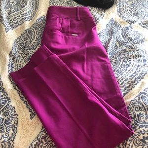 Magenta dress pants